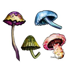 Mushroom