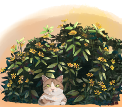 Cat in flowers