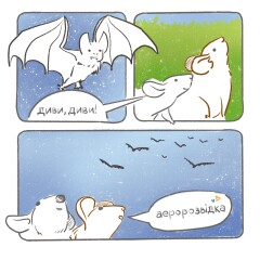 Аеророзвідка